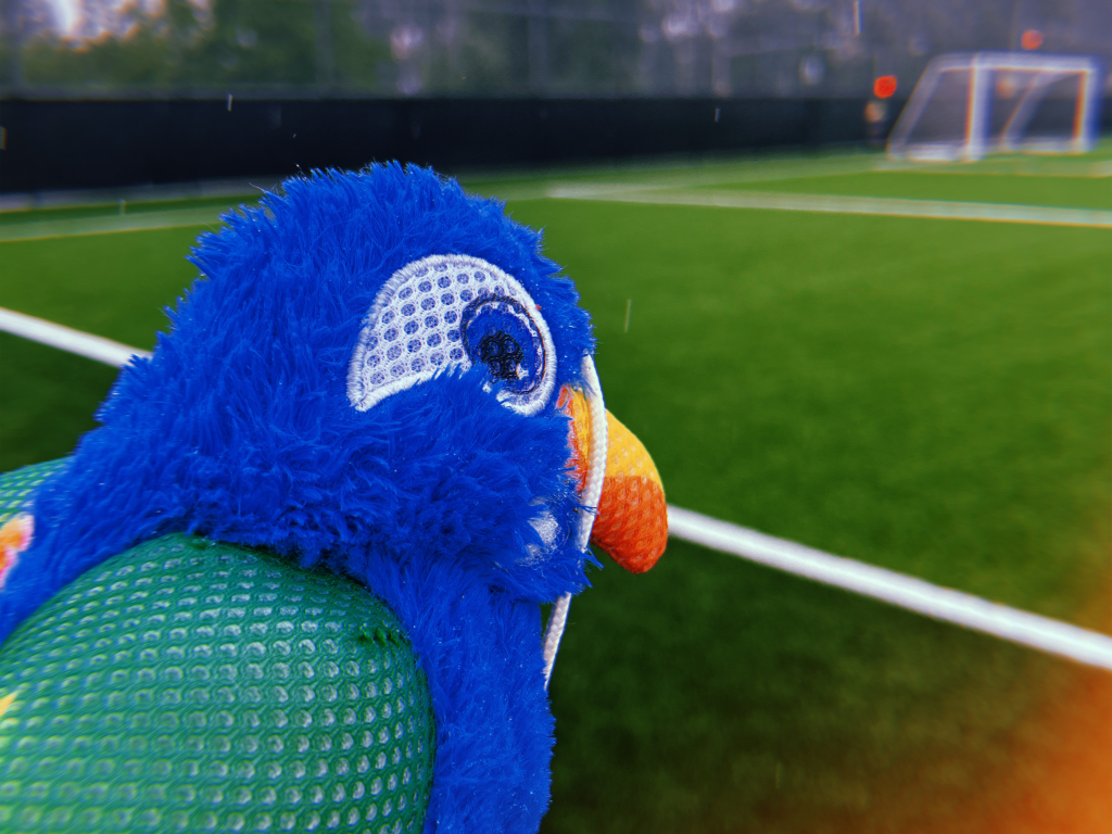 Rovers at Rainy BFC; the Debut Burnaby Derby